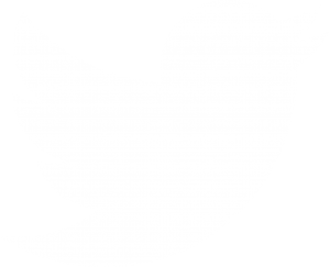 Twitter_logo_white